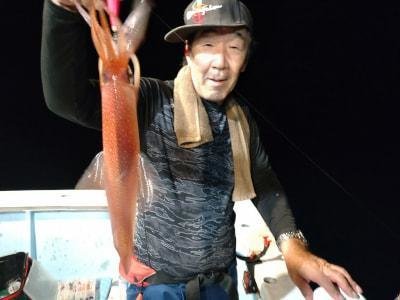 マイカ(ケンサキイカ)