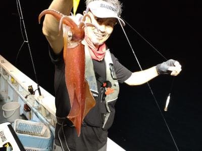 マイカ(ケンサキイカ)