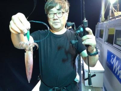 マイカ(ケンサキイカ)