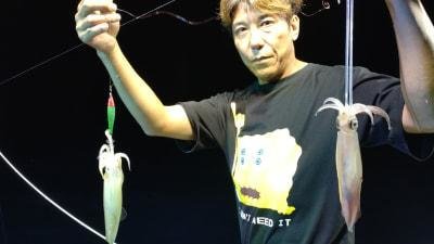 マイカ(ケンサキイカ)