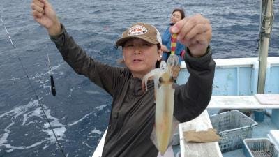 マイカ(ケンサキイカ)