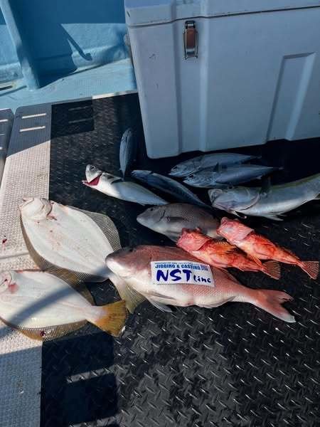 マダイ・クロダイ・カサゴ・ヒラメ・サバ(ゴマサバ)