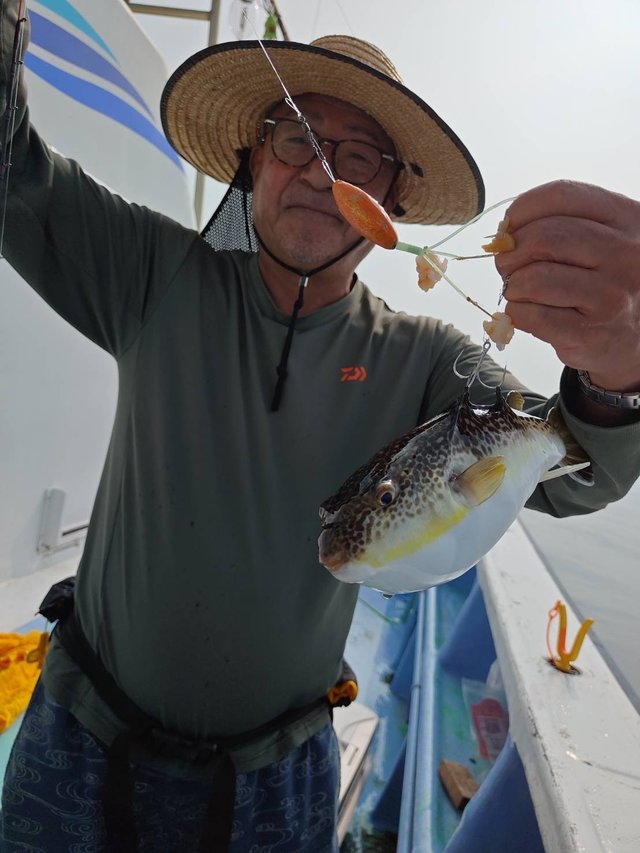 ショウサイフグ