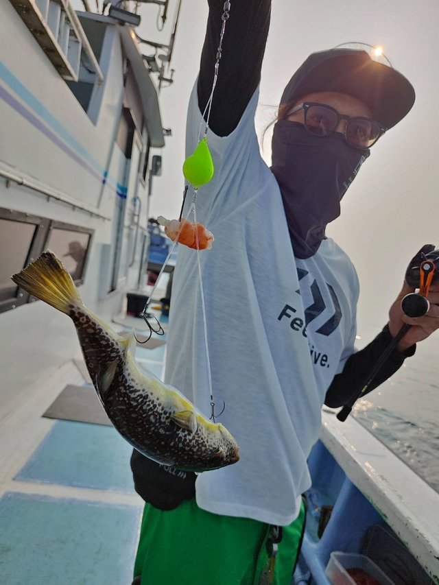 ショウサイフグ