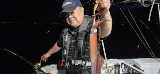 アカイカ(ケンサキイカ)