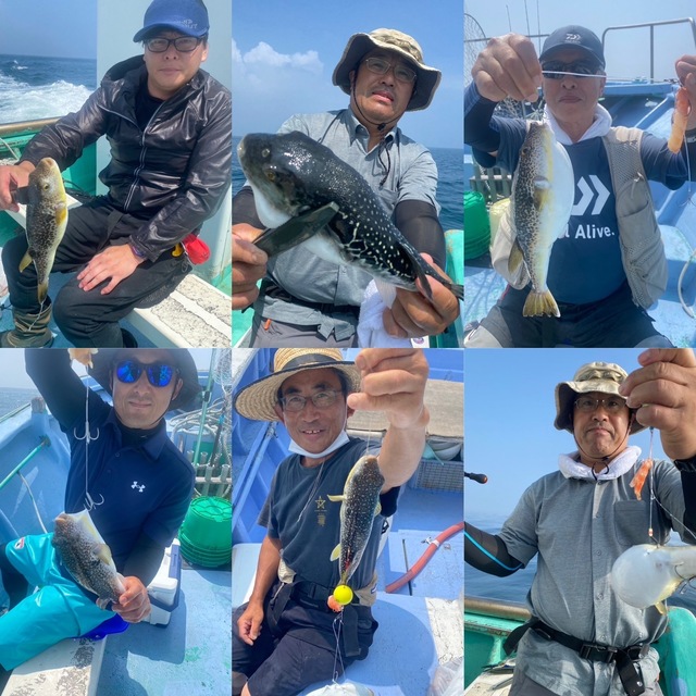 ショウサイフグ