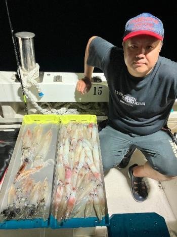 マイカ(ケンサキイカ)