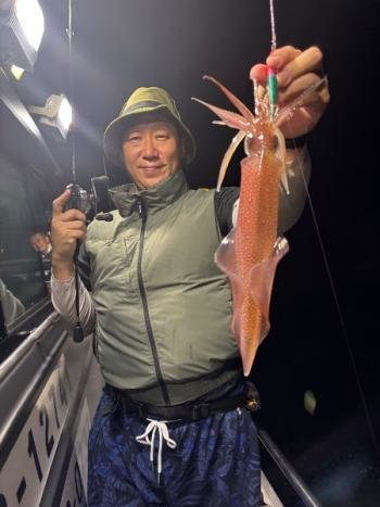 マイカ(ケンサキイカ)