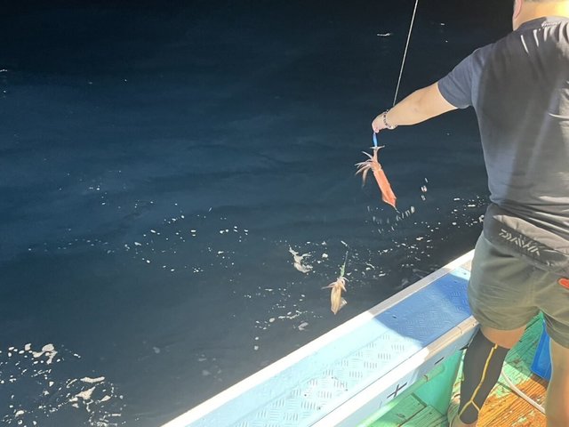 イカ(ケンサキイカ)