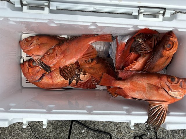 チカメキントキ