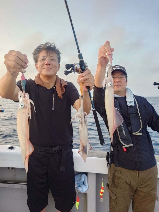 イカ(ケンサキイカ)