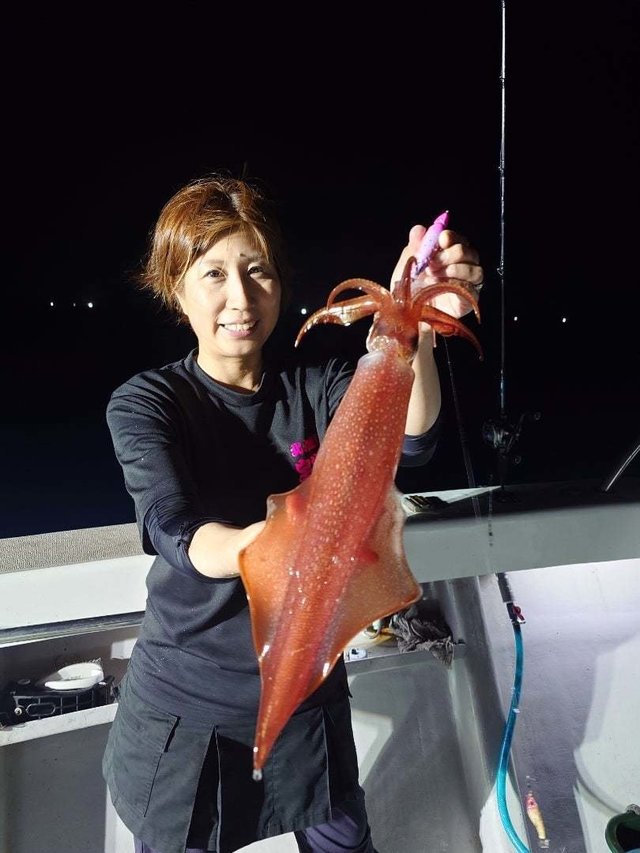 イカ(ケンサキイカ)