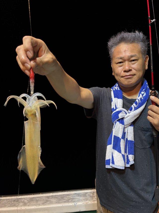 アカイカ(ケンサキイカ)