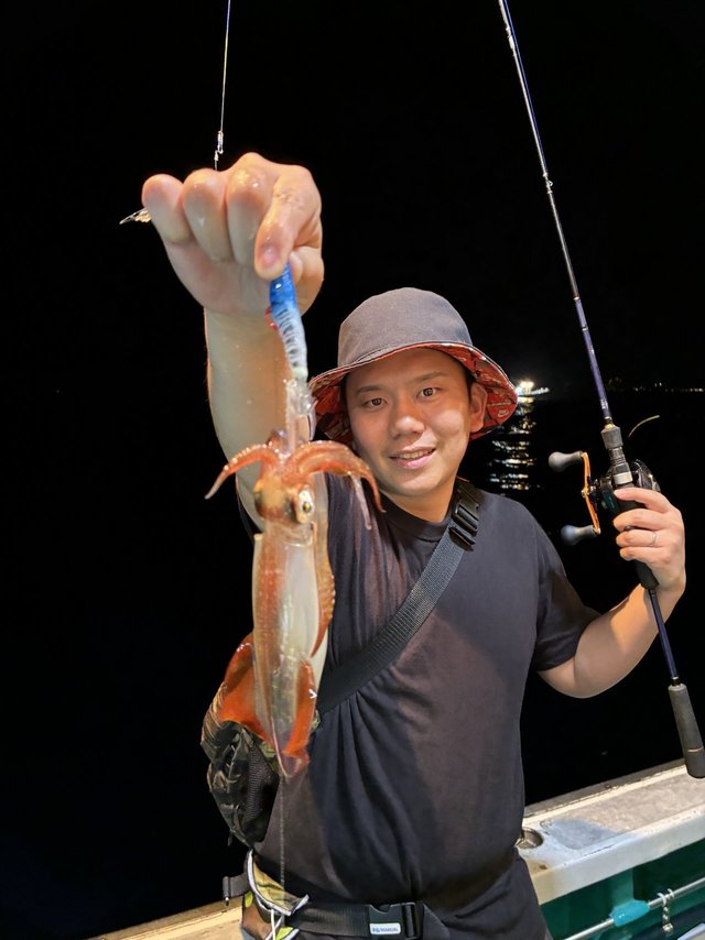 アカイカ(ケンサキイカ)