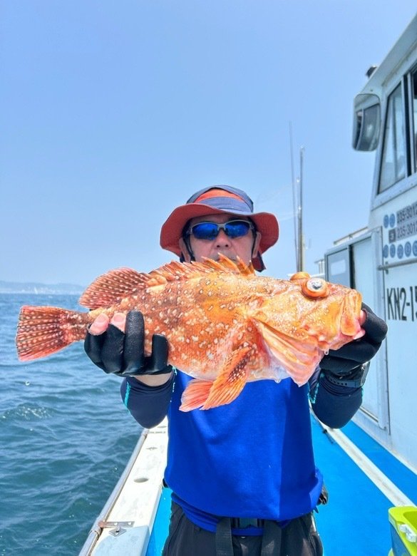 カンコ(ウッカリカサゴ)