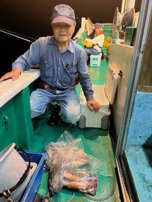 アカイカ(ケンサキイカ)・スルメイカ