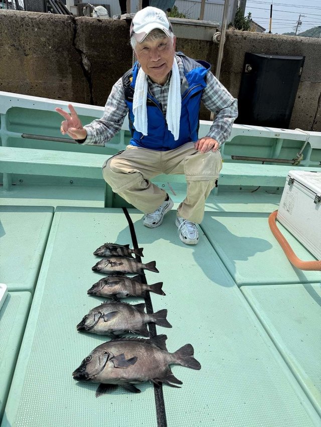 イシダイ・サンバソウ(イシダイ)