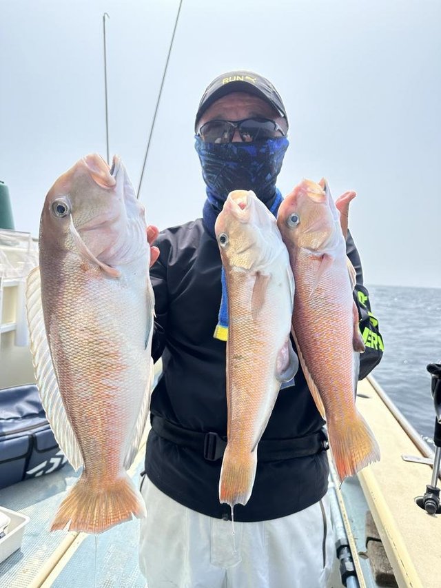 アマダイ(アカアマダイ)・シロアマダイ