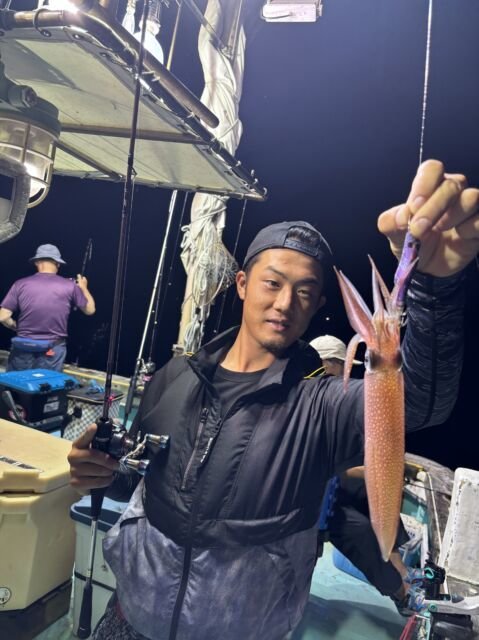 マイカ(ケンサキイカ)