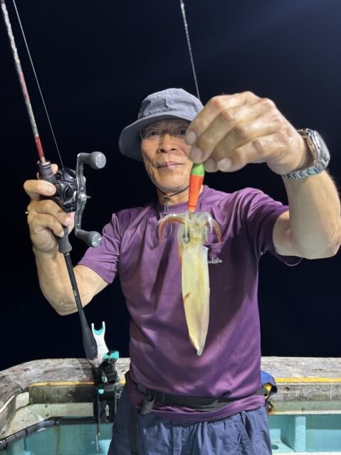 マイカ(ケンサキイカ)