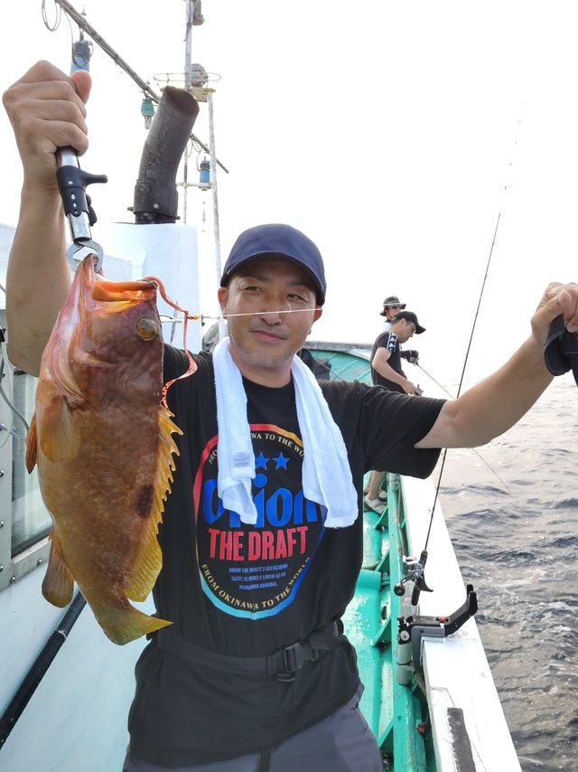 アコウ(キジハタ)