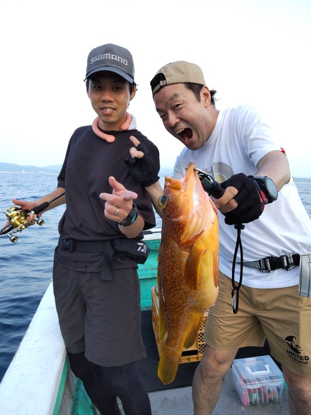 アコウ(キジハタ)