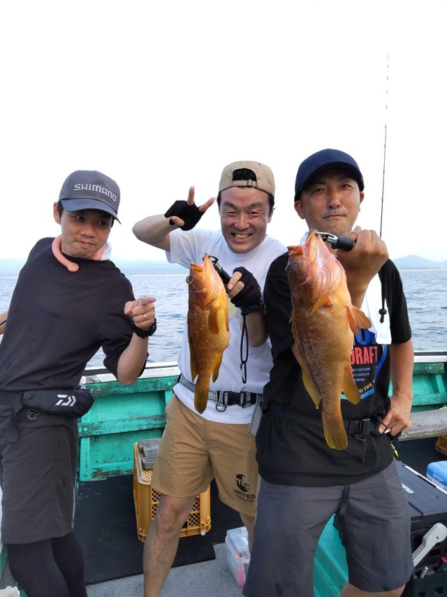 アコウ(キジハタ)