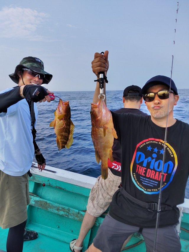 アコウ(キジハタ)