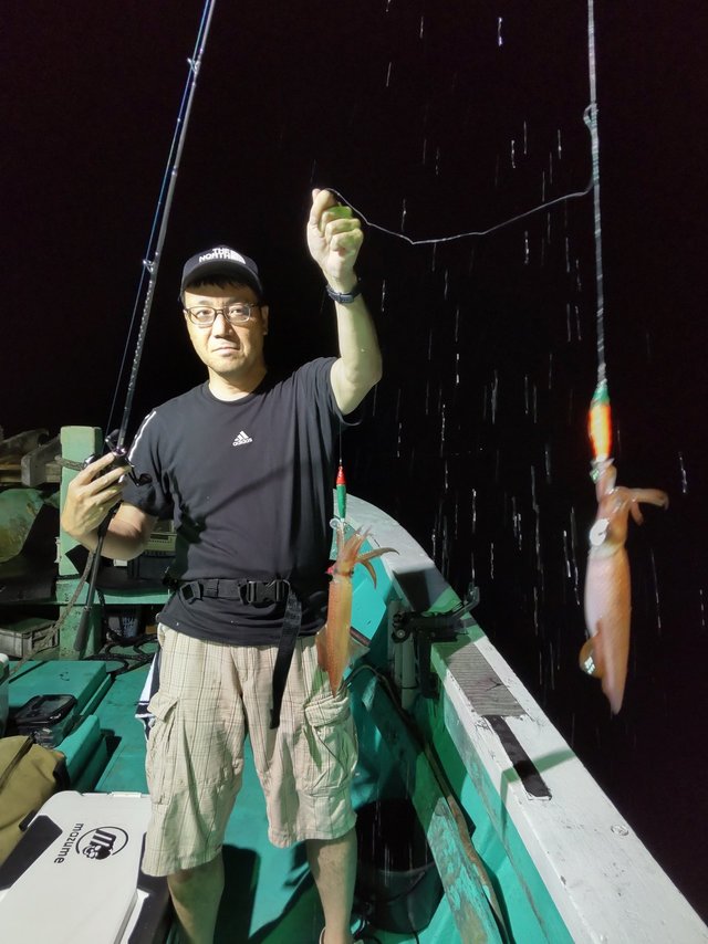 シロイカ(ケンサキイカ)