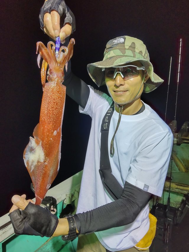 シロイカ(ケンサキイカ)