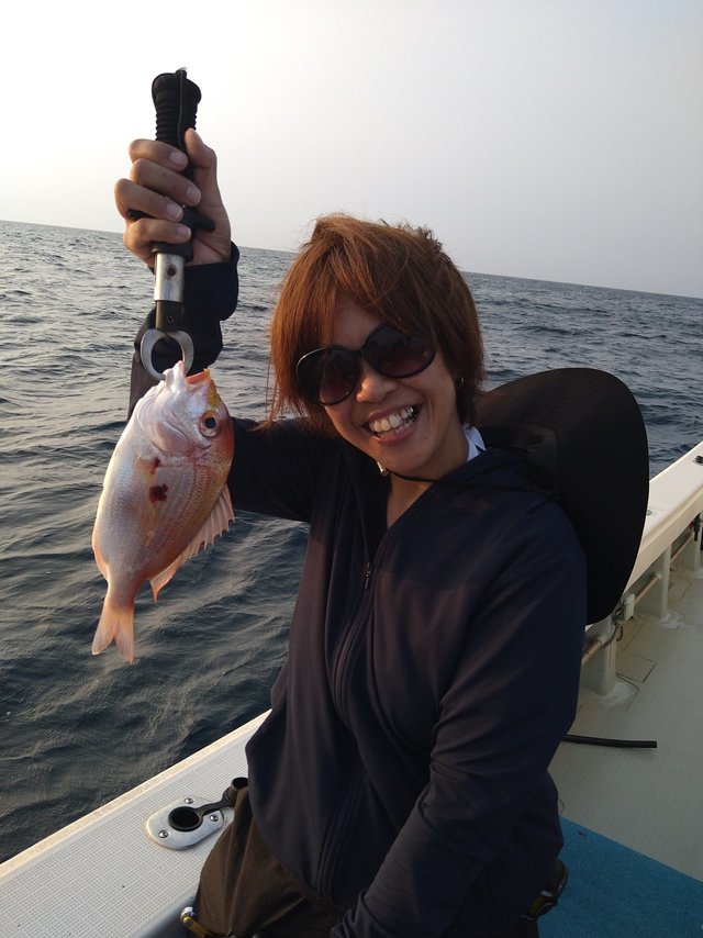 レンコダイ(キダイ)