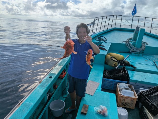 オニカサゴ(イズカサゴ)