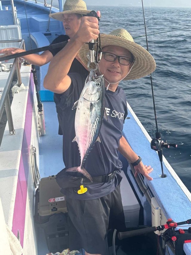 スマカツオ(スマ)