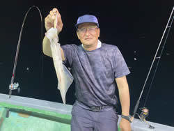 アカイカ(ケンサキイカ)