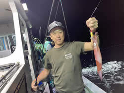 アカイカ(ケンサキイカ)