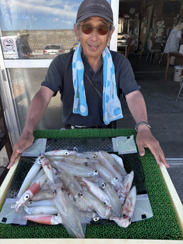 マルイカ(ケンサキイカ)