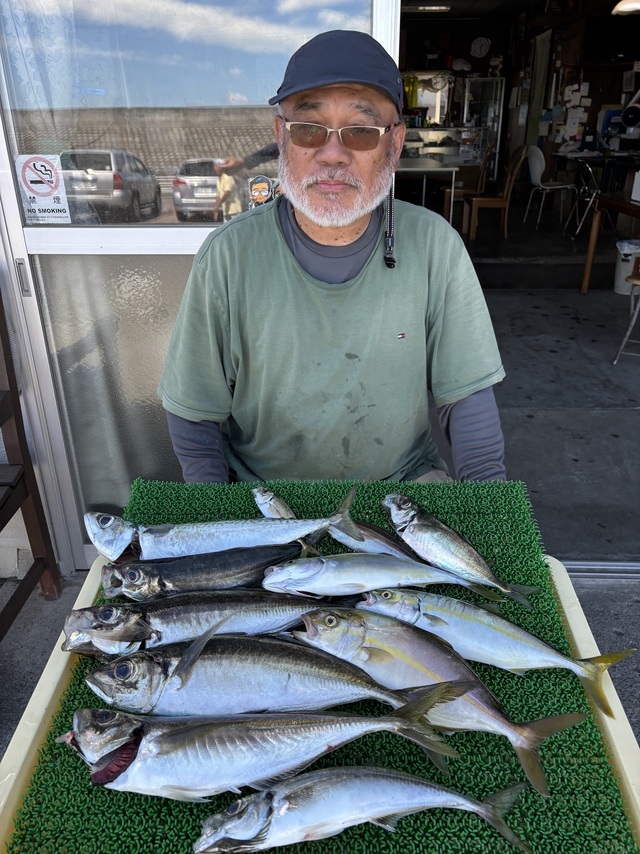 アジ(マアジ)・ショウゴ(カンパチ)