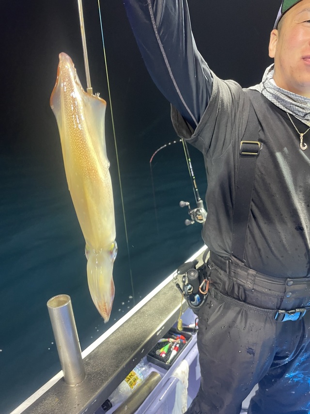 マルイカ(ケンサキイカ)