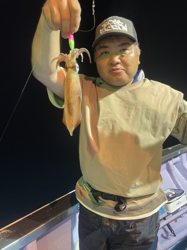 マルイカ(ケンサキイカ)