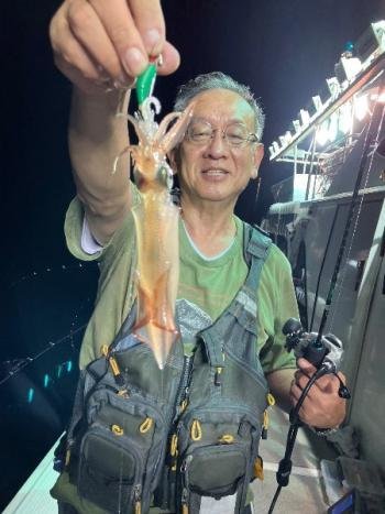 マイカ(ケンサキイカ)