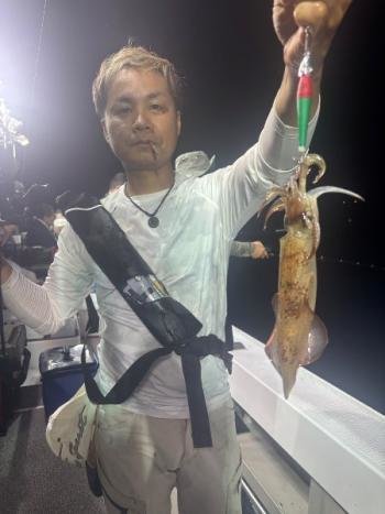 マイカ(ケンサキイカ)