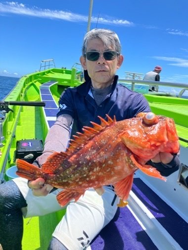 カンコ(ウッカリカサゴ)