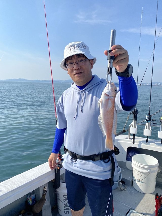 アマダイ(アカアマダイ)