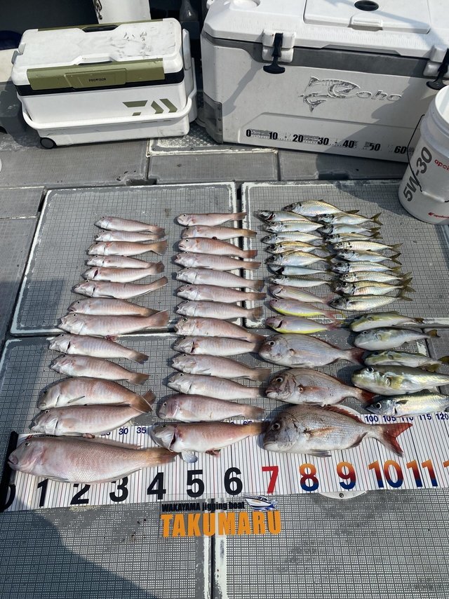 マダイ・アジ(マアジ)・アマダイ(アカアマダイ)・シロアマダイ・イトヨリ(イトヨリダイ)