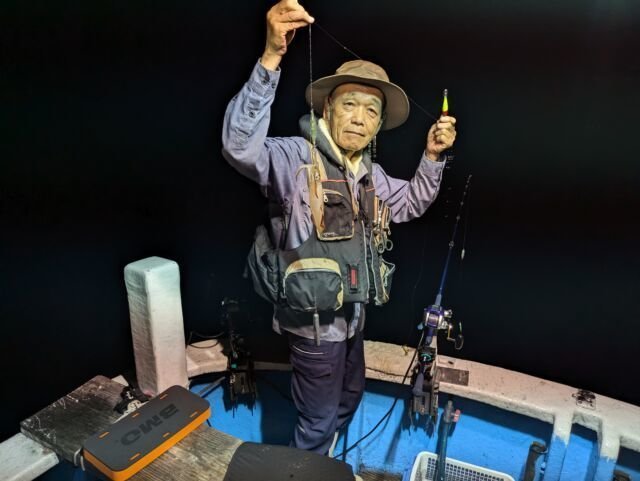 マイカ(ケンサキイカ)