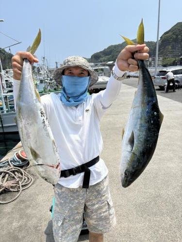 イナワラ(ブリ)