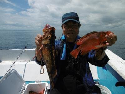 カサゴ・ハタ(マハタ)