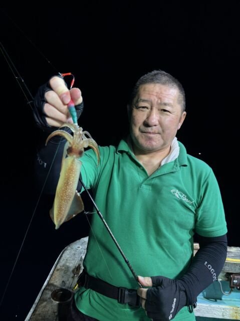 マイカ(ケンサキイカ)