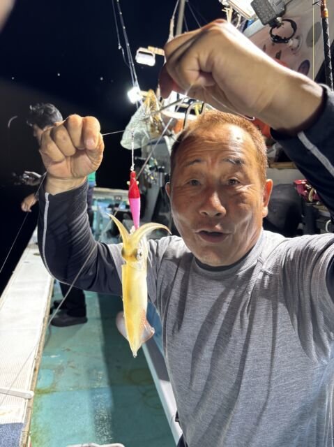 マイカ(ケンサキイカ)