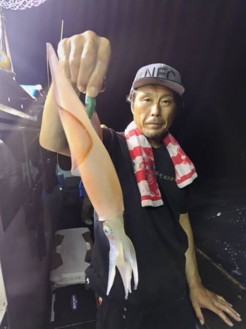 イカ(ヤリイカ)